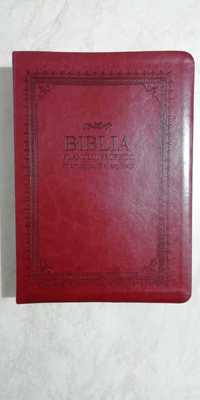 Biblia Planului Profetic Ediția a II - a (Dumitru Cornilescu)