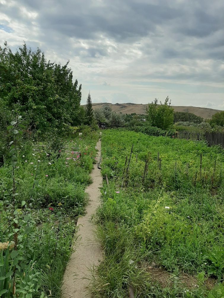 Продам дачу в Темиртау. в общ.Плодородие