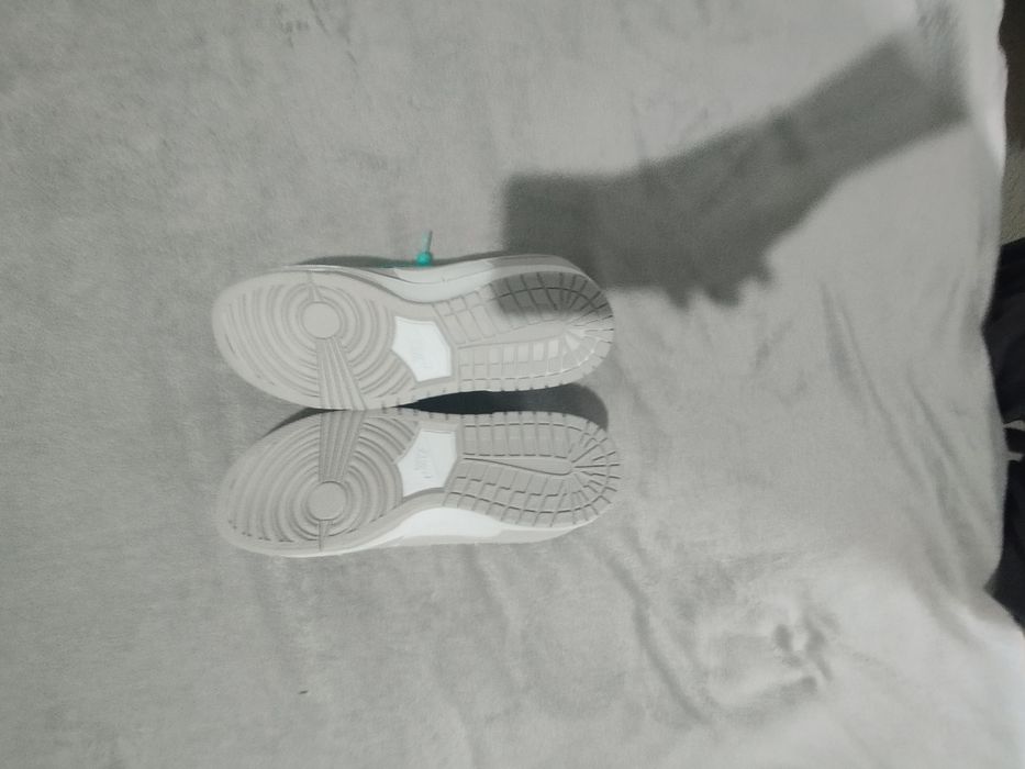 Pantofi sport Nike dunk