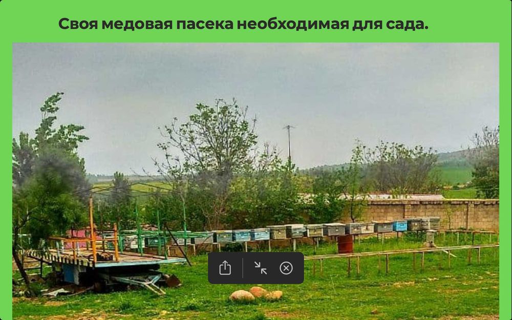 Продаётся современный фруктовый комплекс в Бостанлыкском районе 30гект