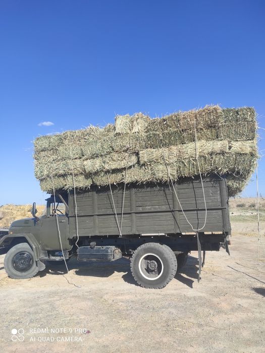 Камыс прес бар бағасы 500 теңгеден камысы майда жапырағы мол