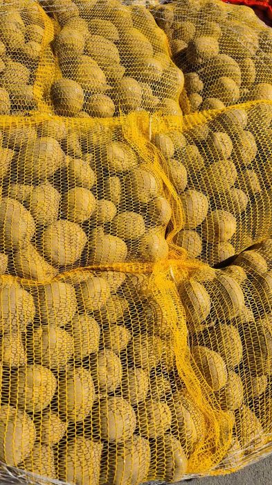 Vand cartofi consum,extra calitate