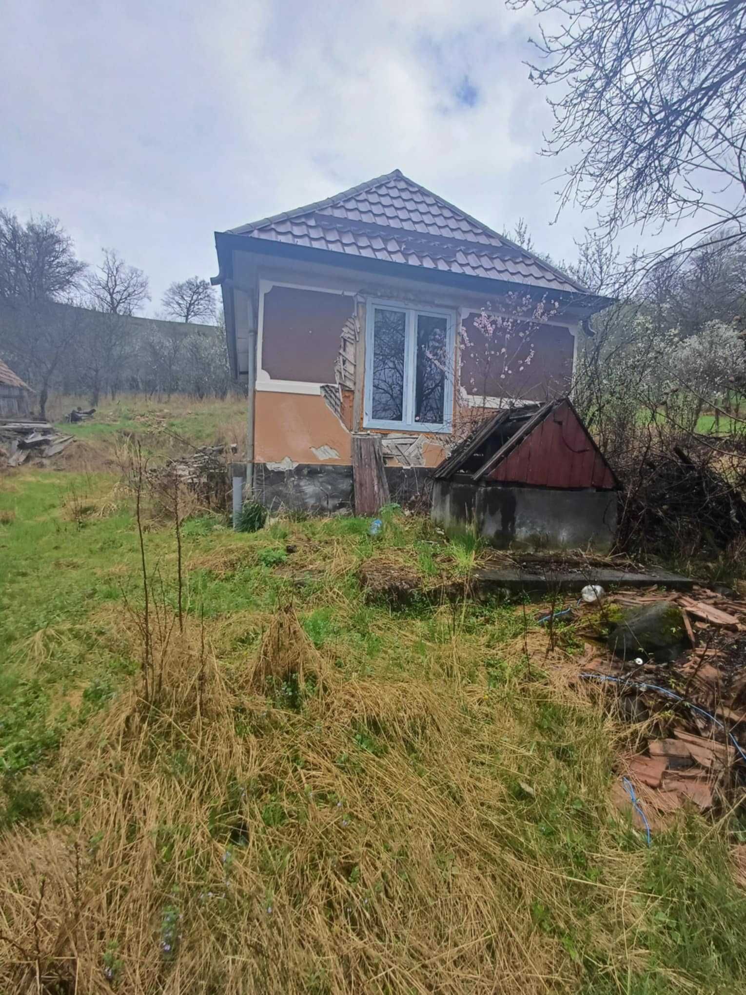 20 de arii si 2 case in Fițcău