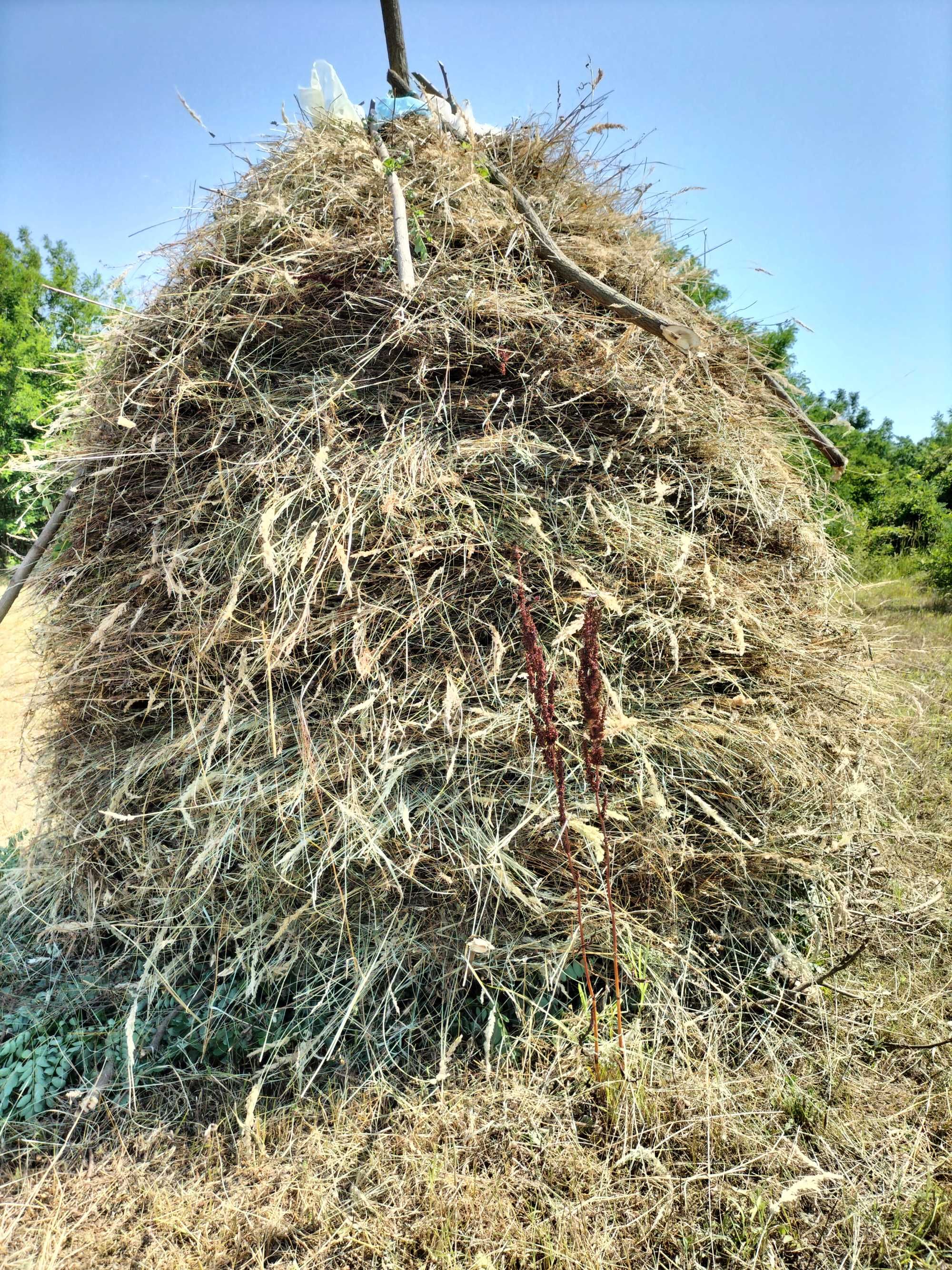 Vând 6 clăi de fân