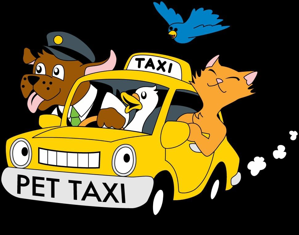 Taxi Vet  pentru animale de companie