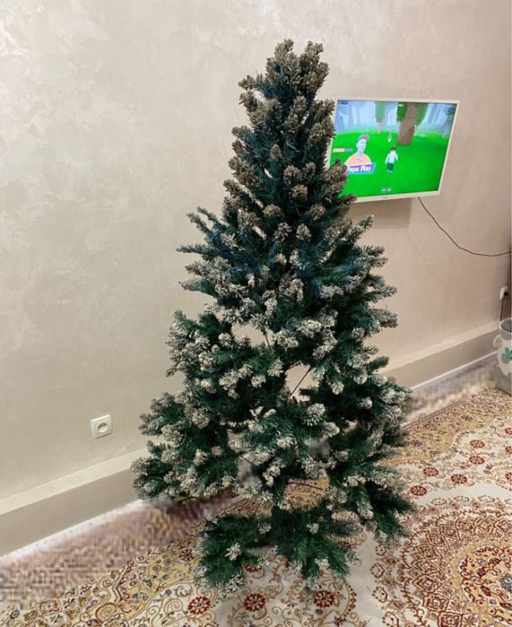 Елка новогодняя,  170-175 см.