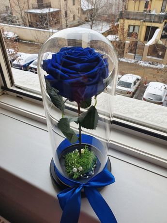 Cupola de sticla cu trandafir conservat albastru regal 25 cm 150 lei