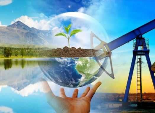 Курсы по "Экологии и природоохранной деятельности"