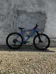 MTB Radon Jealous XL Roti 29”