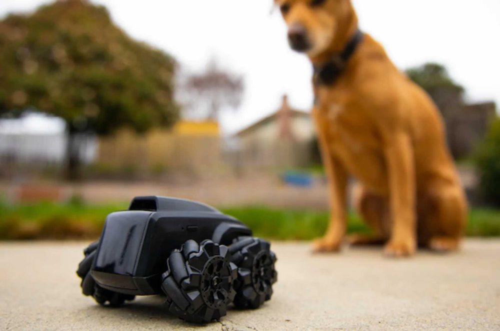 Drona de  supraveghere animale de companie