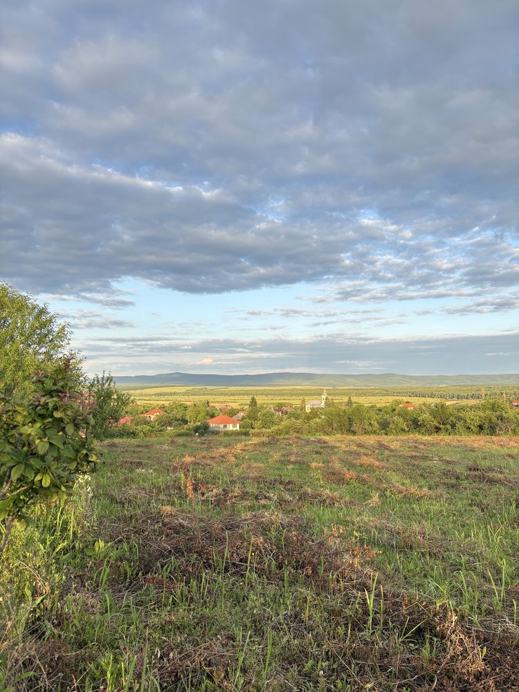 Teren 1.33 Hectare, Intravilan, Viile Satu Mare
