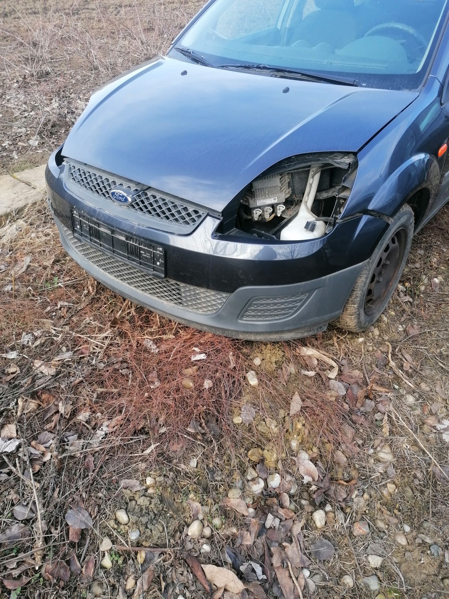 Bara fata Ford Fiesta ,facelift an 2005-2008