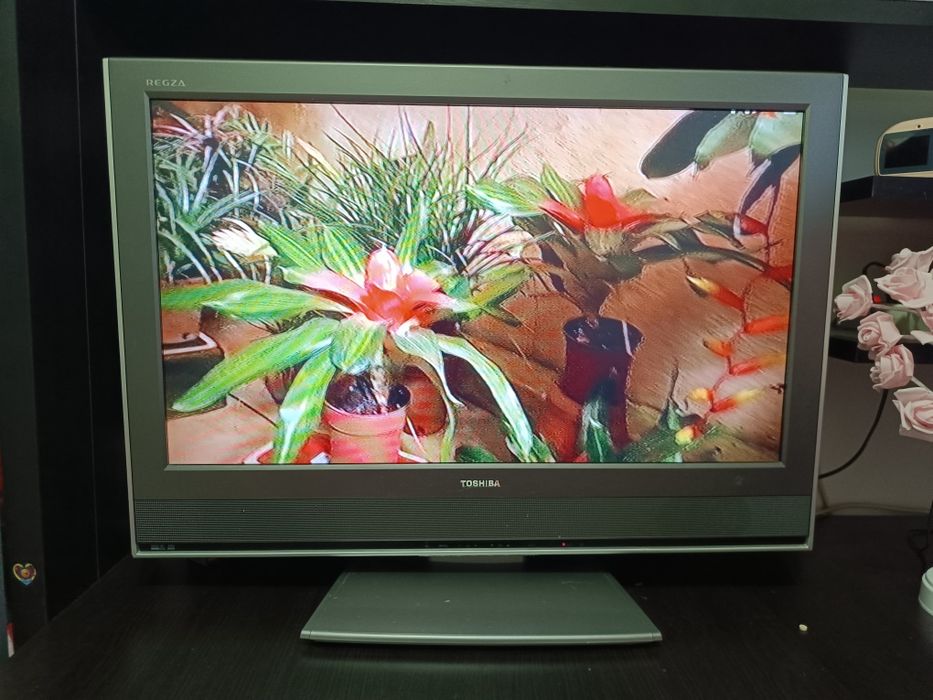 Vând televizor Toshiba D.80