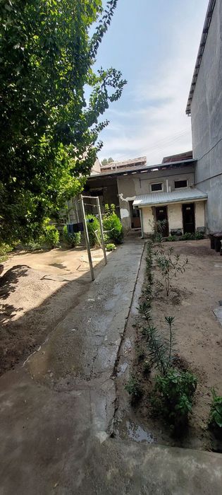 Yunusobod Bodomzor Kvartira