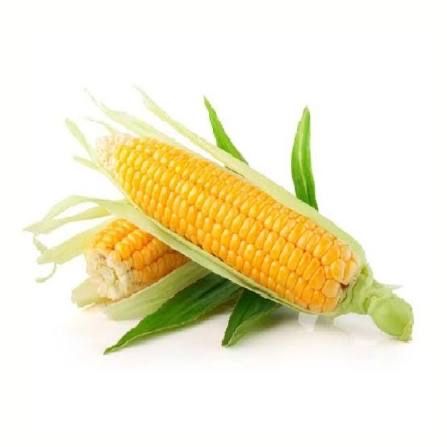 Кукуруза замороженная