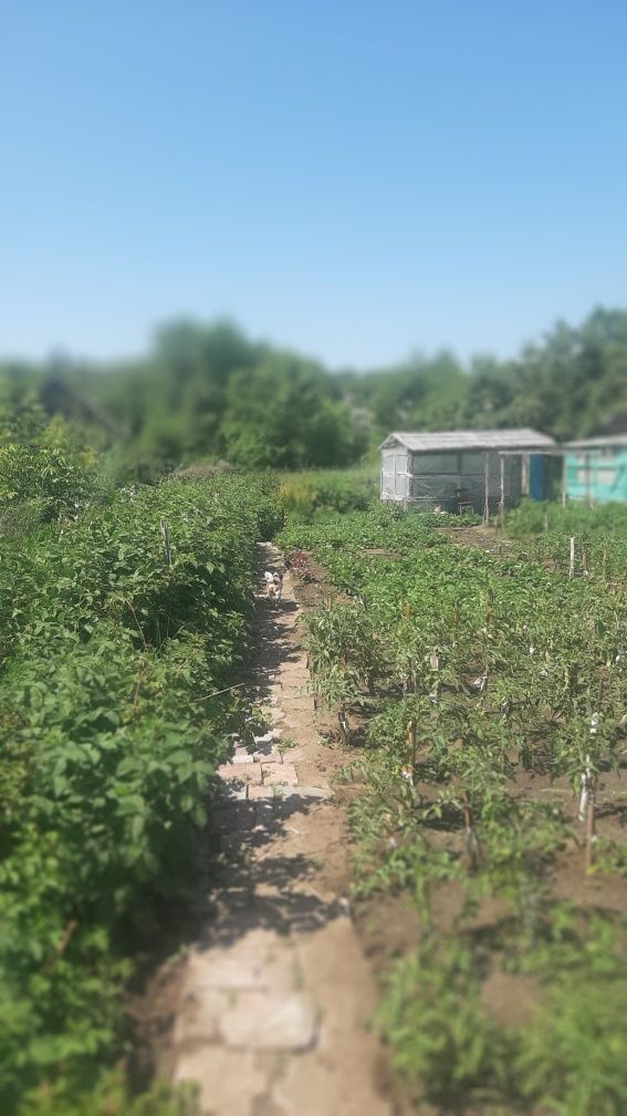 Продам дачу ухоженная