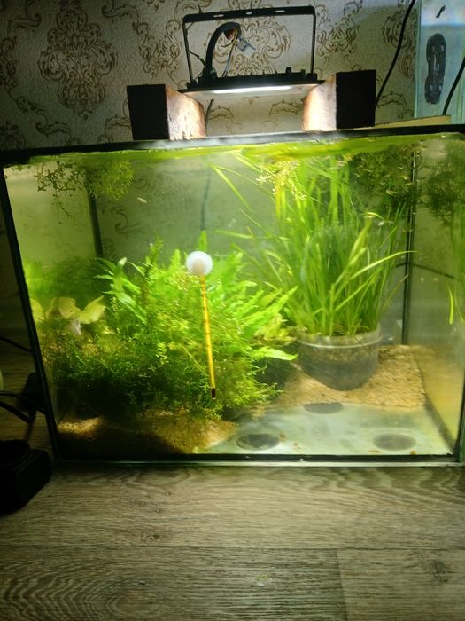 Аквариум 40 л с рыбками гуппи муппи