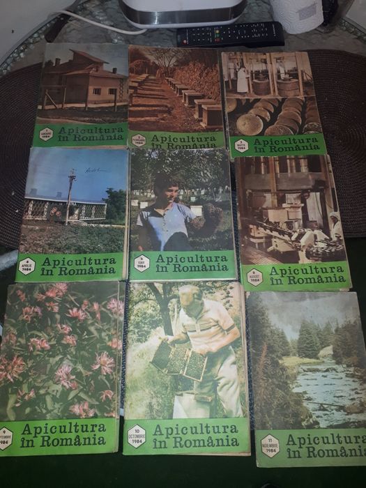 Lot Apicultura in Romania