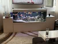 Acvariu 450 l cu mobilier inclus