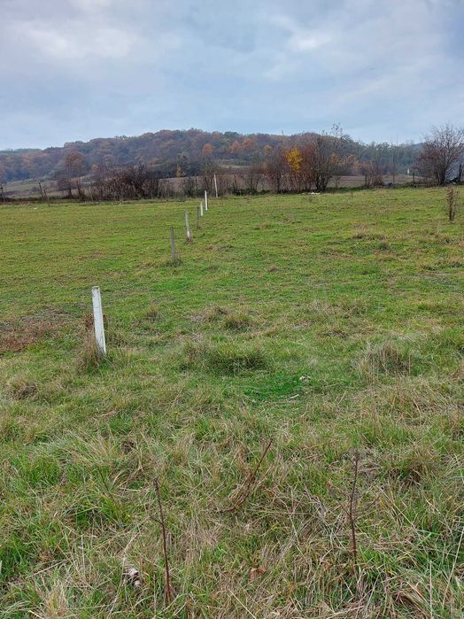 Teren intravilan de vanzare