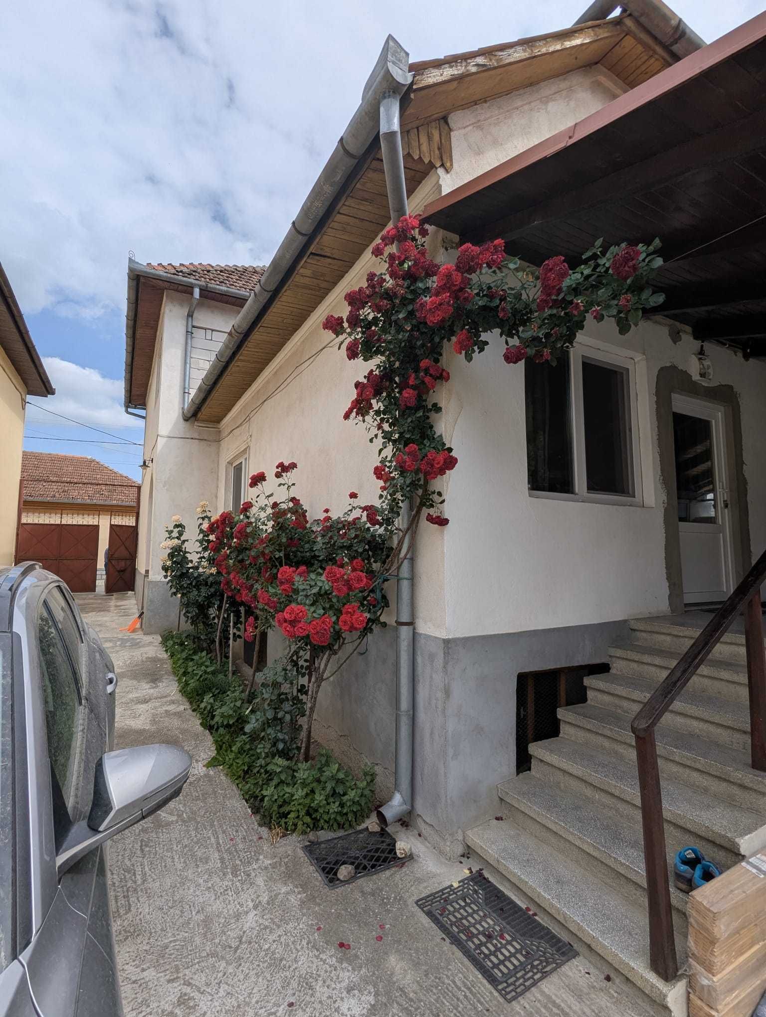 Casă de vânzare în Beiuș, str. Burgundia Mare 20A189 mp utili