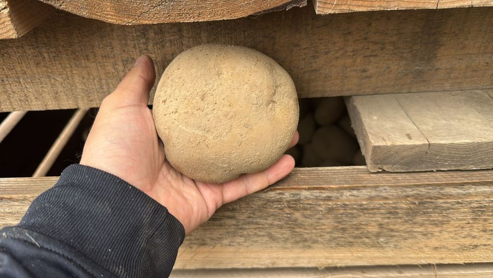 Cartofi pol cantități mari toate soiurile