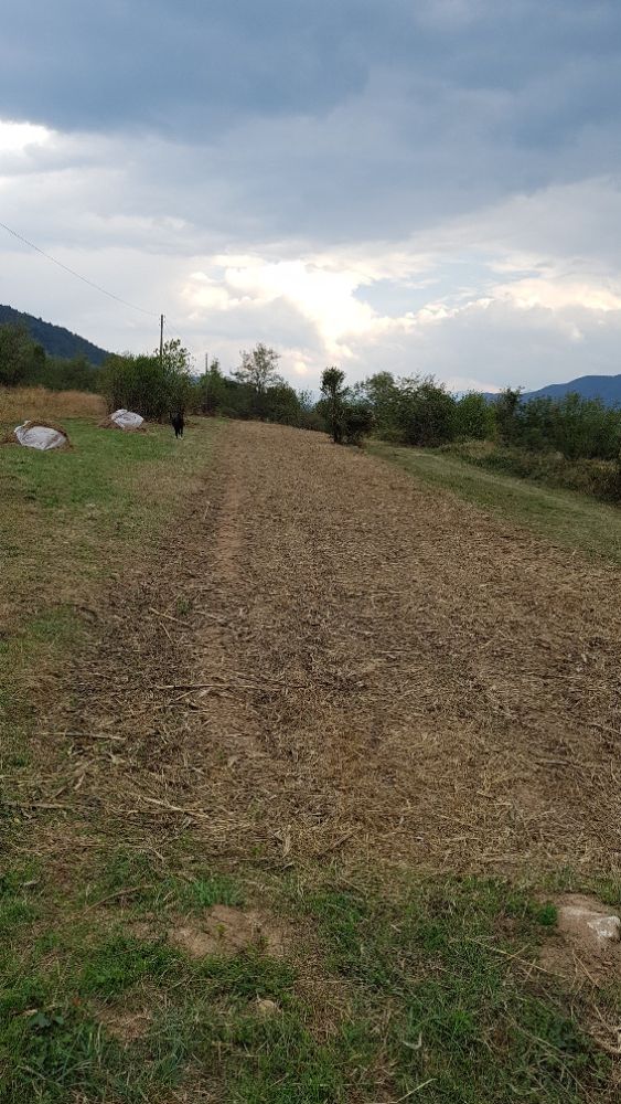 Продава се Земеделски имот в Правец -  кв.м за 15300 €/дка - Снимка #4
