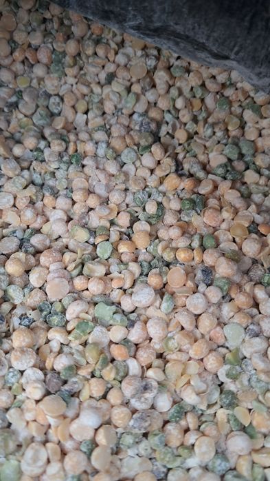 Горох в мешках сечка