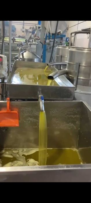 VAND ULEI DE MASLINE - productie proprie (zona Halkidiki)