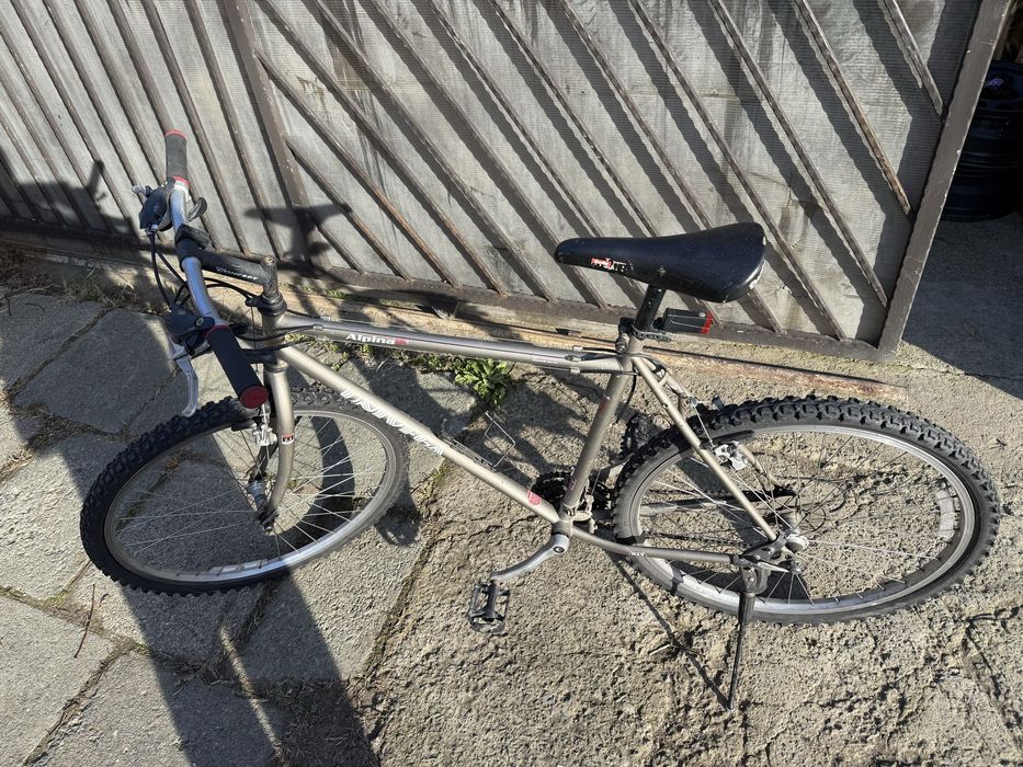 Bicicleta Alpina roti pe 26