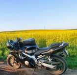 Honda CBR 600, F4i,  2006