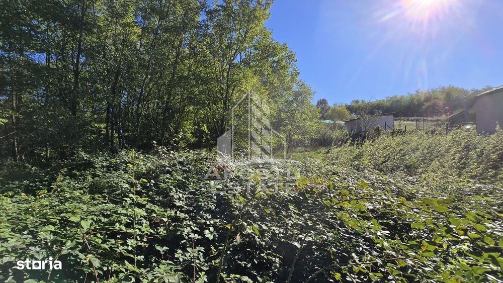 Teren Intravilan Cuied 3260 mp