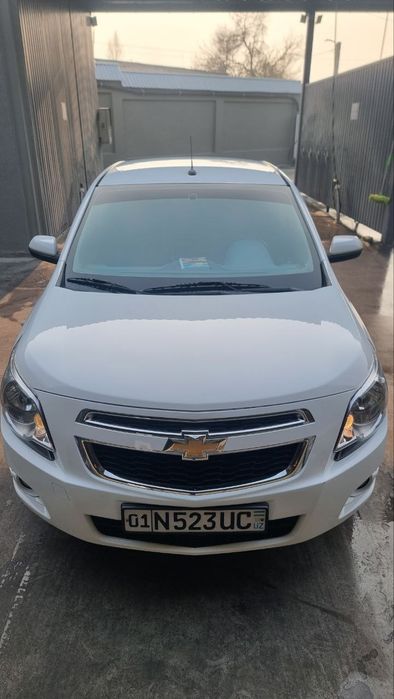 Cobalt 2024 metani bor