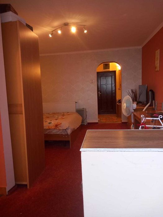 Proprietar Apartament cu 1 camera Take Ionescu langa ISHO si Medicina