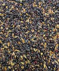 Кинельская 100 семена РС1 высший сорт очищенные в мешках