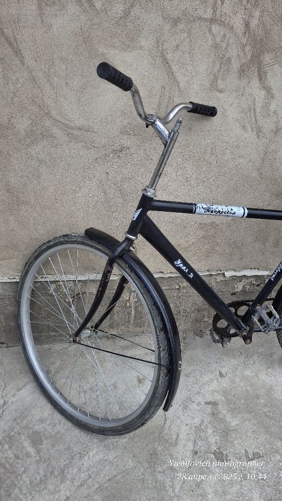 Velosiped. Oddiy