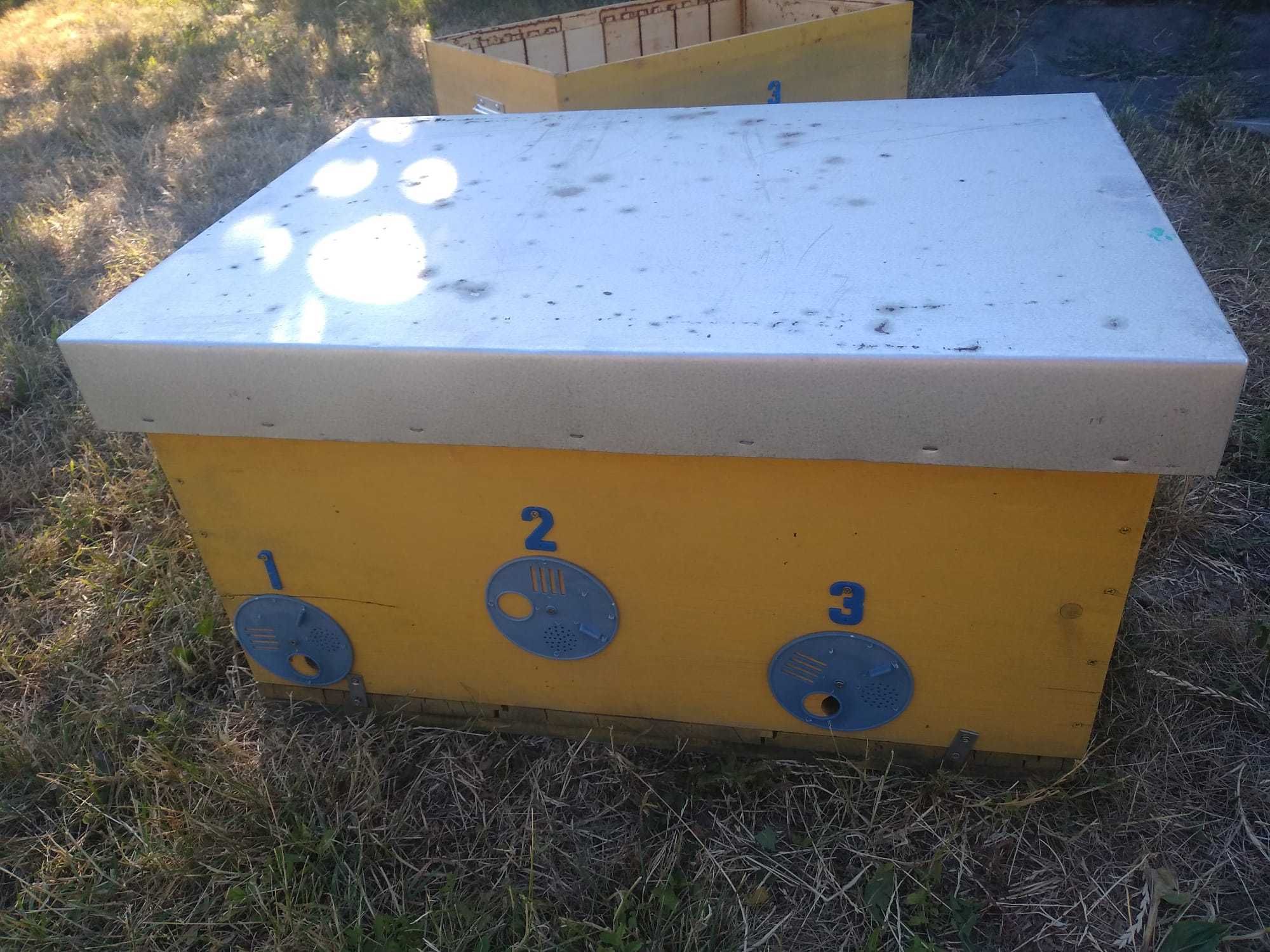 lazi / nuclee de albine / matci