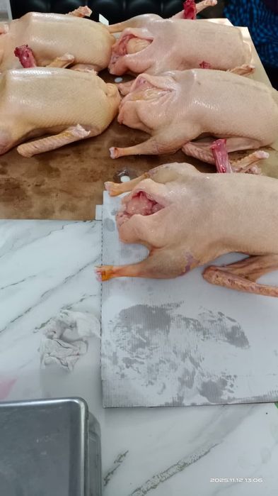 Мясо гуся. Тушки гусей. Цена указана за кг.