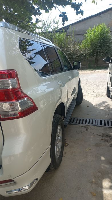 Prado sotilad xolat zor