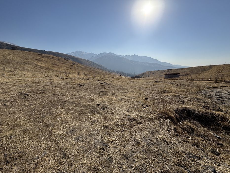 Кумушконда ер сотамиза срочно