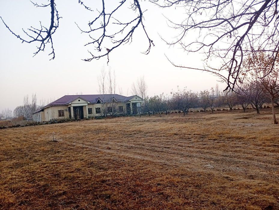 Uchastka sotiladi 25 sotix