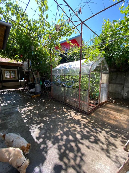 Vand casa, str. Rosiorilor, Braila, 214mp