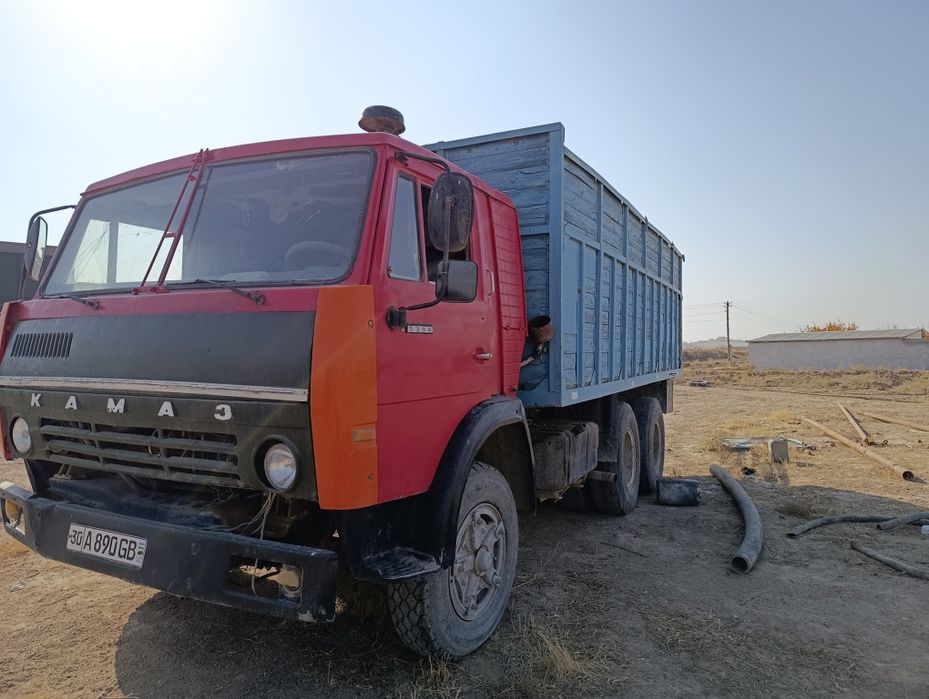 Kamaz boʻrtavoy ,