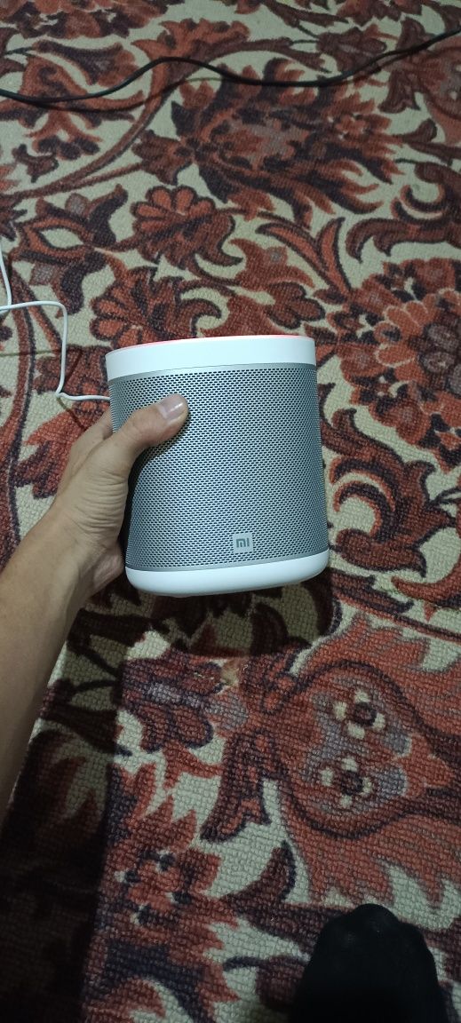 Mi Smart Speaker