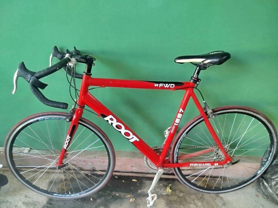 Toza germanskiy gonchik