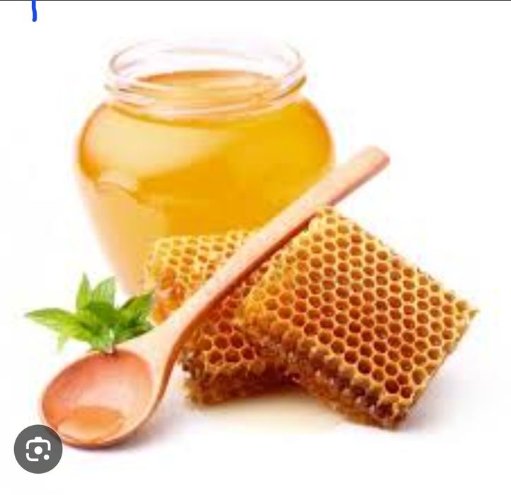 Продам мёд этого года