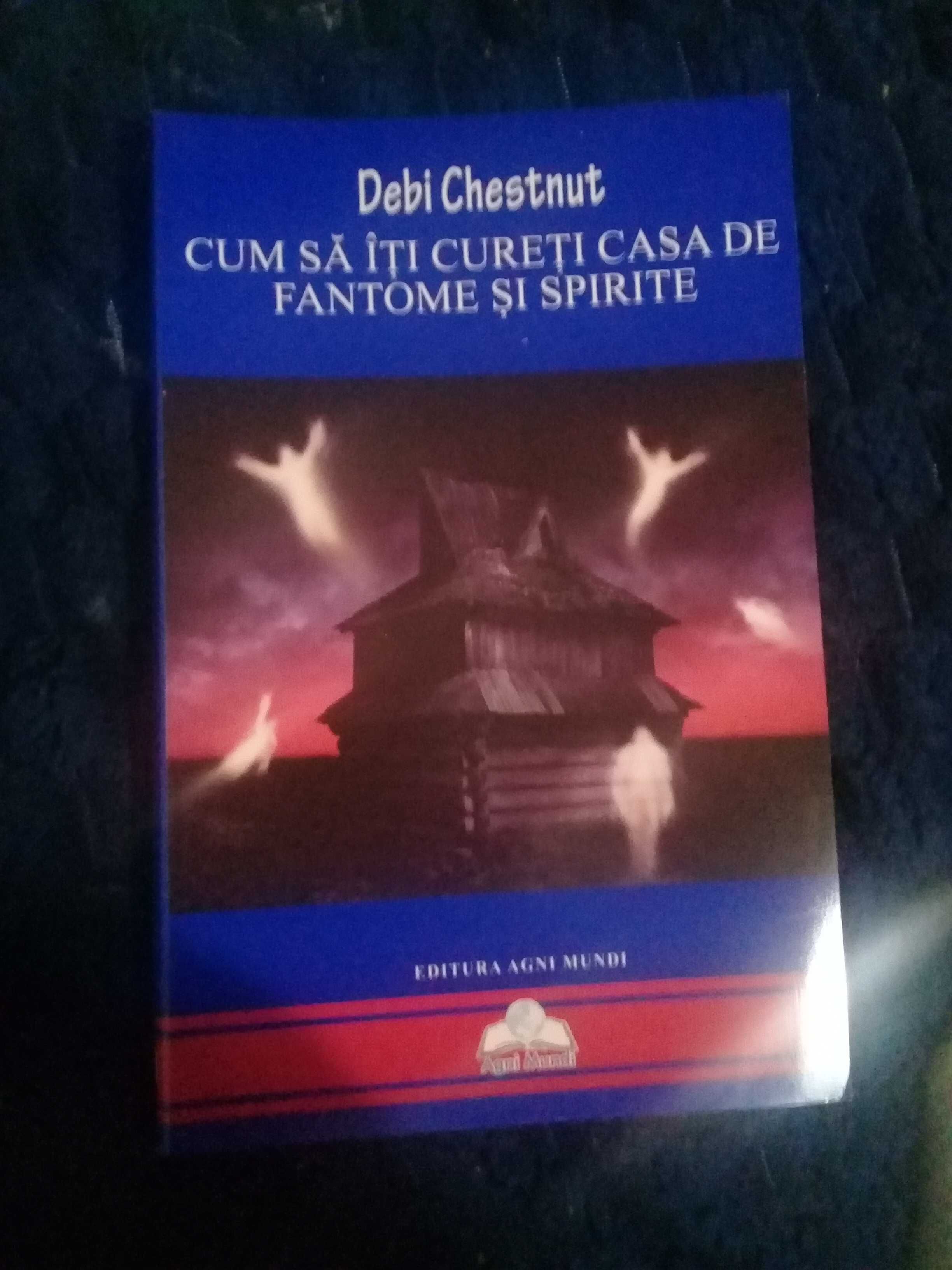 cum sa iti cureti casa de fantome si spirite