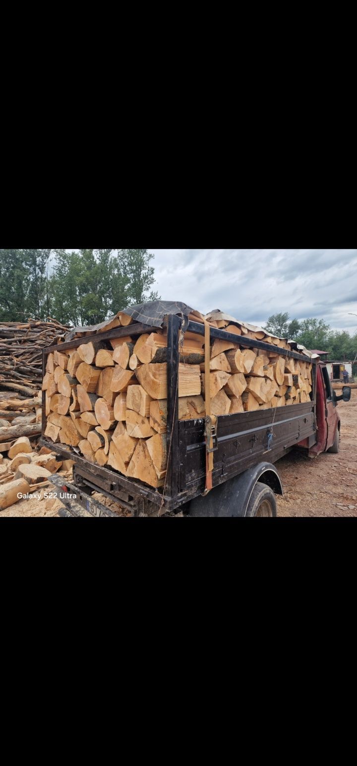 Lemn de fag și stejar