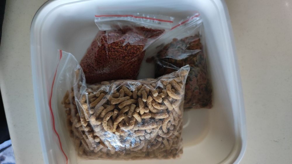 Baliq va akvarium full komplekti bilan