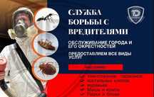Dezinfeksiya xizmati Дезинфекция Уничтожение тараканов клоп крыс мышей